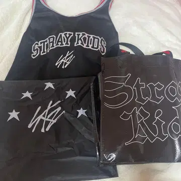 straykids 업그레이드 백 5star dominATE