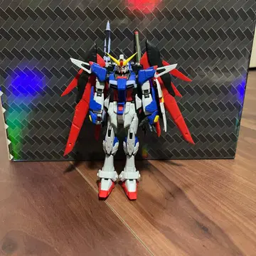 RG 디스티니 건담