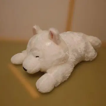 사모예드 군 봉제 인형