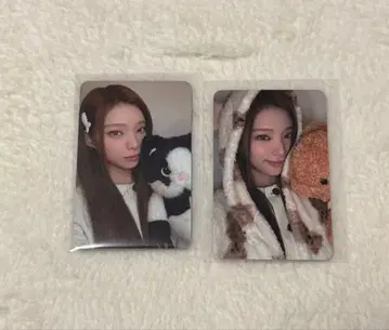 cosmosy hellolive 트레이딩 카드 히메샤