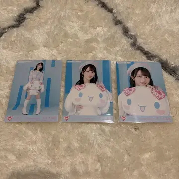 사사키 마이카 시나몬