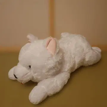 사모예드 군 봉제 인형