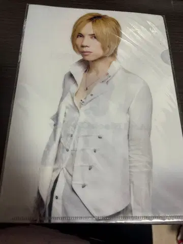 Acid Black Cherry 미니 클리어 파일