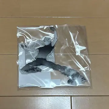 메달리스트전 아크릴 스탠드 빙상 아크릴 스탠드 아키우라지 츠카사