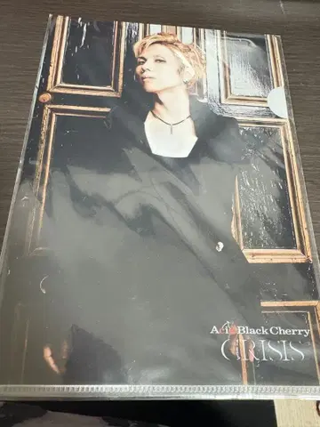 Aqua Black Cherry CRISIS 미니 클리어 파일