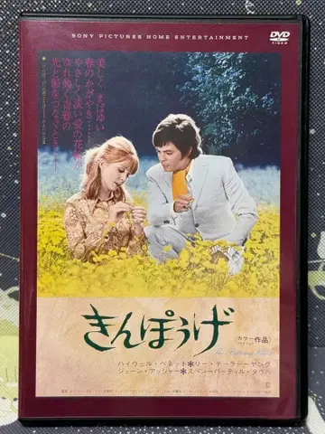 미나리복 DVD