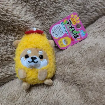 여행하는 마메시바 나고야 에비후라이