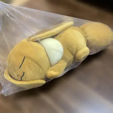 포켓몬 봉제 인형 쌔근쌔근 이브이