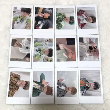 아즈 하피카 팬더 드래곤