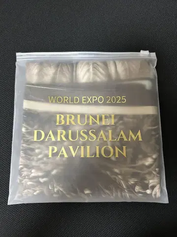 브루나이 파빌리온 스카프 만국박람회 세피아