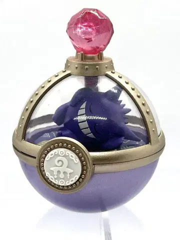 팬텀 드리밍 케이스 포켓몬