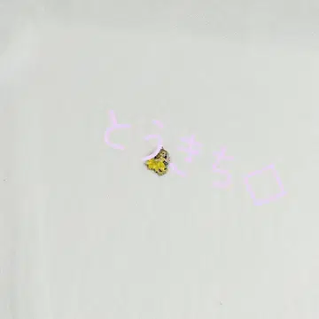 극단 사계 위키드 Wicked 참