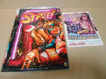 새상품 타월 로킹 제리 빈 스트리트 파이터 미카 & 플라이어