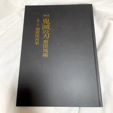 극장판 귀멸의 칼날 무한열차편 제1장 아카자 재래 팜플렛 최초 한정판