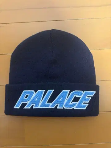 PALACE 네이비 비니