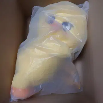 skzoo PLUSH BAG 포가리 팝업