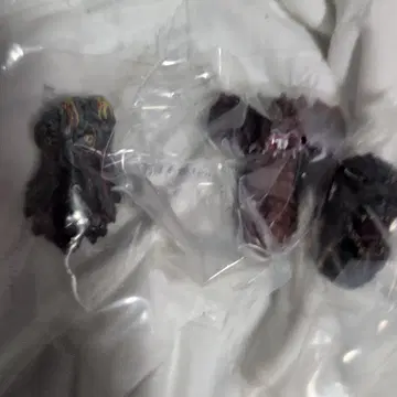 제일복권 고질라 괴수난무 날뛰는 것 몬스터 헤드 마그넷 3종