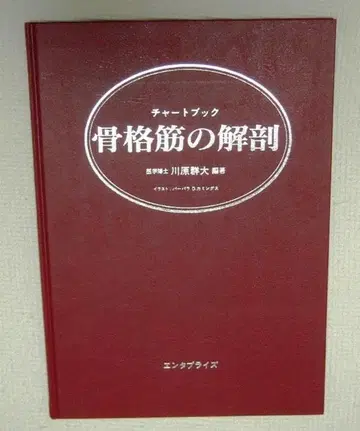 차트북 골격근 해부학: 몸통과 사지의 세밀도 116점 (초심자용)