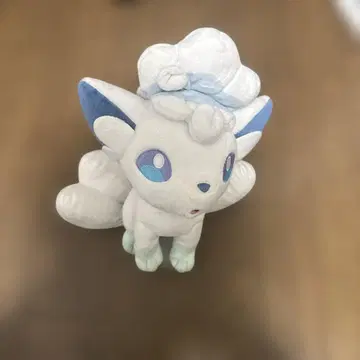 포켓몬 알로라 식스테일 봉제 인형