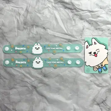 TXT 뿔바투 연준 수빈 러버 밴드 2세트 특전 트레이딩 카드