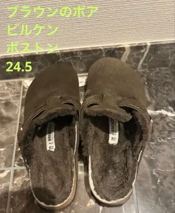 빌켄 보스턴 브라운 보아
