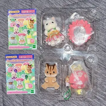 아기 요정의 숲의 동료들 시리즈 라떼 고양이 아기 싸개 다람쥐