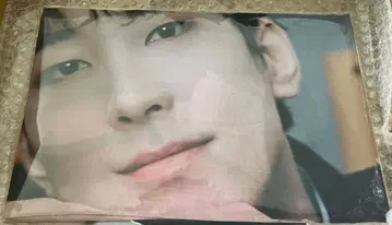 패브릭 포스터 원우 WONWOO HOLIDAY seventeen