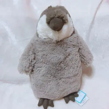[내일 발송 가능] JELLYCAT 펭귄 봉제 인형 [가격 인하 가능]