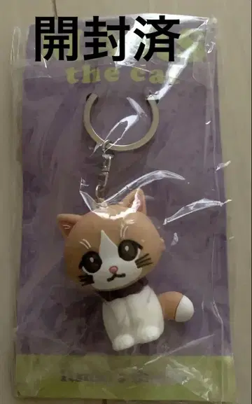 MARS the cat 키링 후지와라 이츠키 MYSTERIOUS