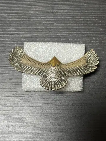 메구 액세서리 이글