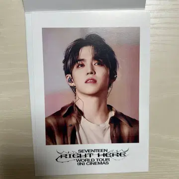 SEVENTEEN RIGHT HERE 영화 승철 에스쿱스