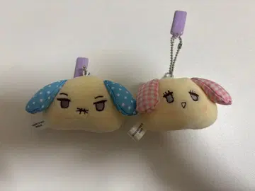 그런데, 센기 군이 너무 달콤해. 키링 타카하시 쿄헤이