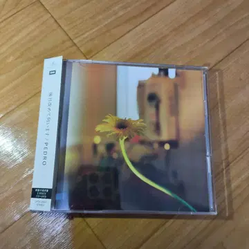 후일 다시 찾아뵙겠습니다 CD PEDRO