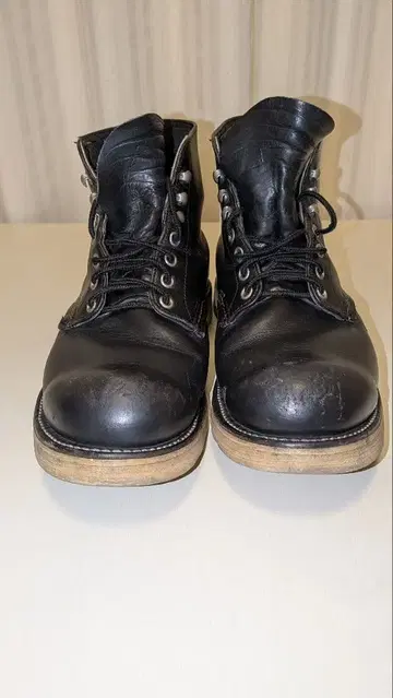 REDWING 8165 아이리쉬 세터 US9EE