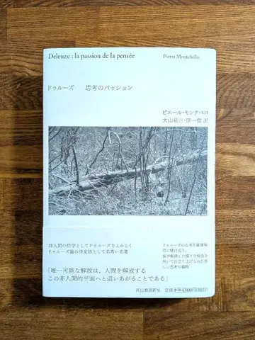 들뢰즈 사상의 열정 카와데 쇼보 신샤