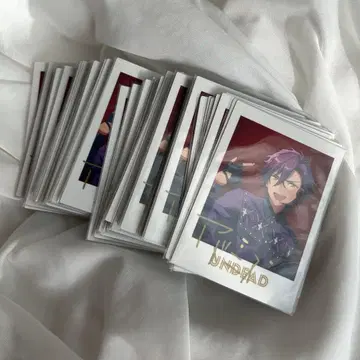 앙스타 오토카리 아도니스 파샤츠