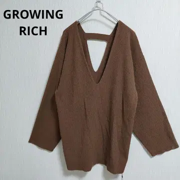 택 포함 새상품 GROWING RICH 깊은 V넥 백산 니트 풀오버