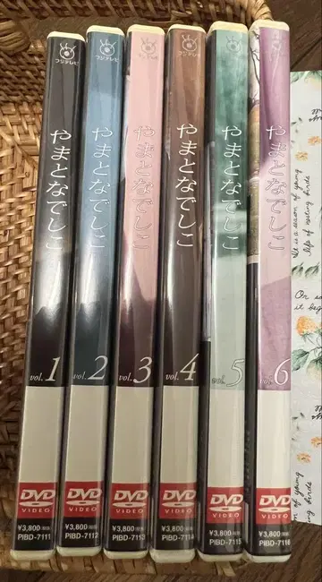 야마토 나데시코 DVD 전권