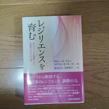 회복탄력성을 키우는 폴리베이걸 이론에 의한 발달성 트라우마의 치유