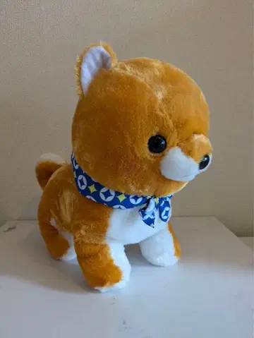 콩시바 삼형제 콩타로