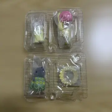 아기 요정의 숲의 동료들 시리즈 달팽이 시크릿