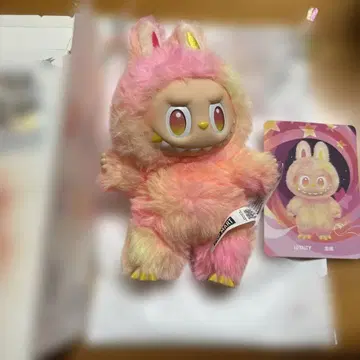 러브라이브