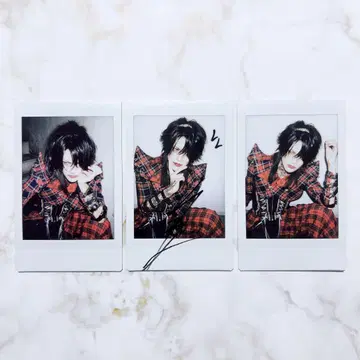 sugar Siz 폴라로이드