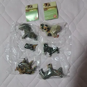 하시모토 미오 가챠가챠 가샤폰 브레멘 음악대 2종 세트