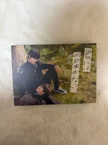 너에게 닿지 않아 Blu-ray 카시와기 유 하루 마에다 켄타로
