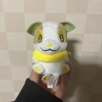 완파치 봉제 인형