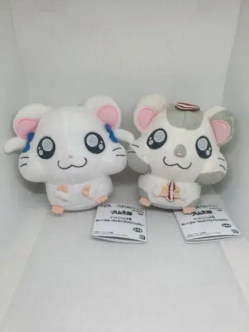 방가방가 햄토리 봉제 인형 다 같이 끈끈이 리본쨩 코우시군