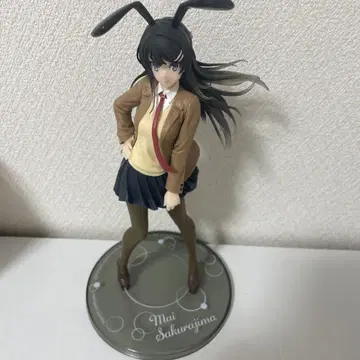 박스 포함 사쿠라지마 마이 피규어 토끼 귀