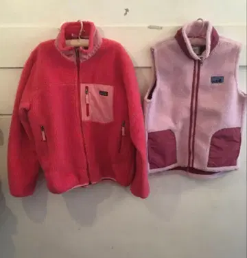 한정 가격 patagonia retro-x jacket.