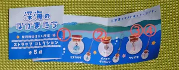 가챠 시즈오카현 한정판 심해의 친구들 해파리 갑각류 클리오네 작은 병